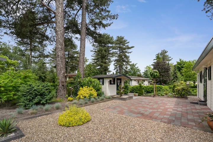 Foto 22 van Akerstraat 153-X015