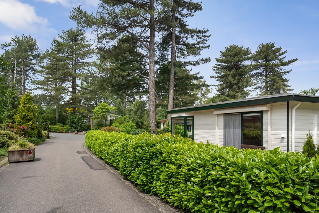 Foto 23 van Akerstraat 153-X015