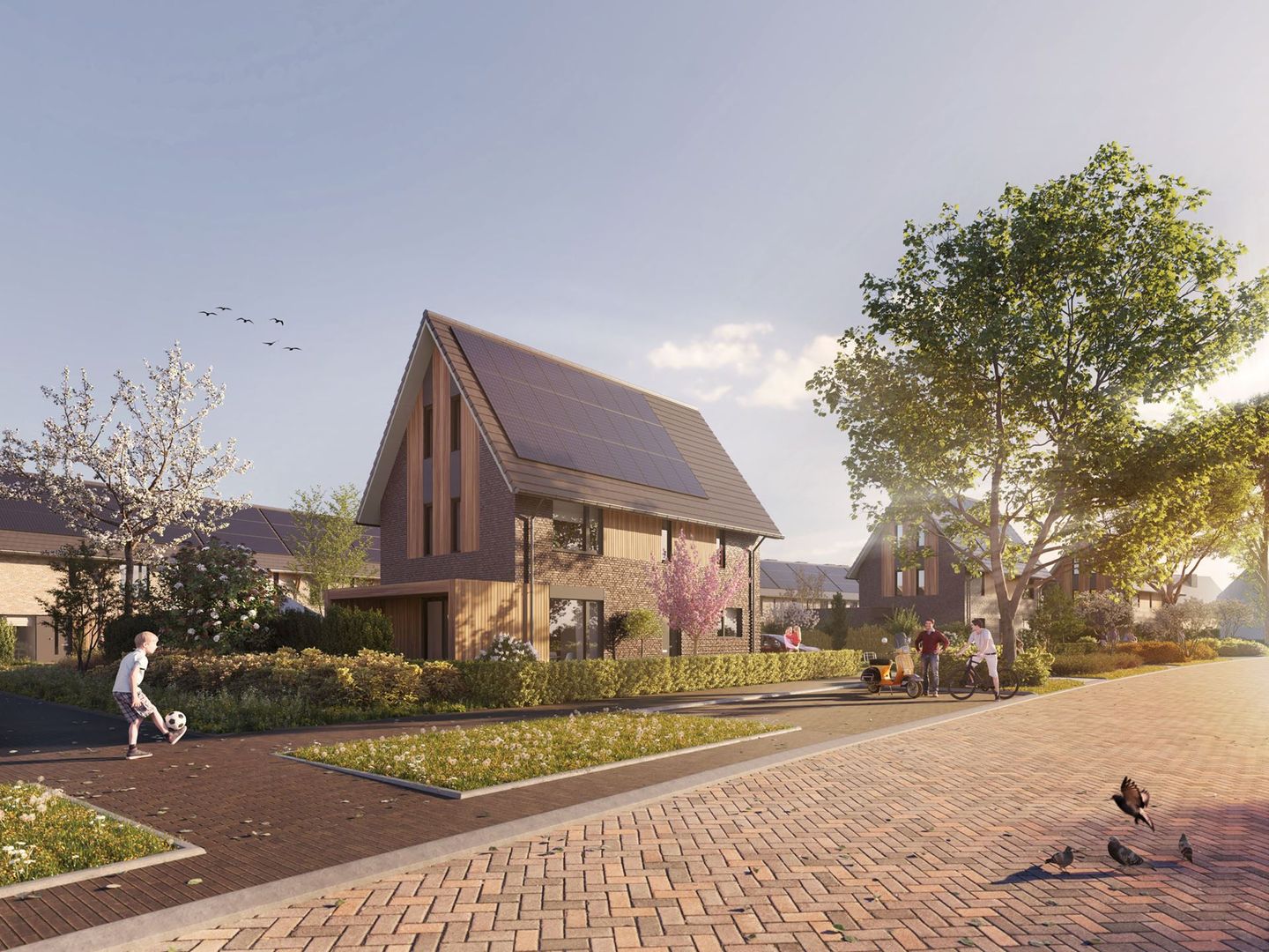 Foto 5 van Hengelo - Aan het Pad fase 3