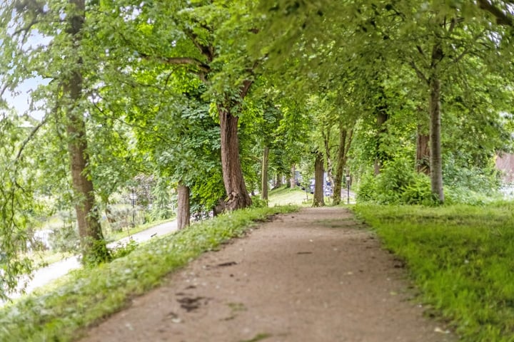 Bekijk foto 40 van Nobeldwarsstraat 29