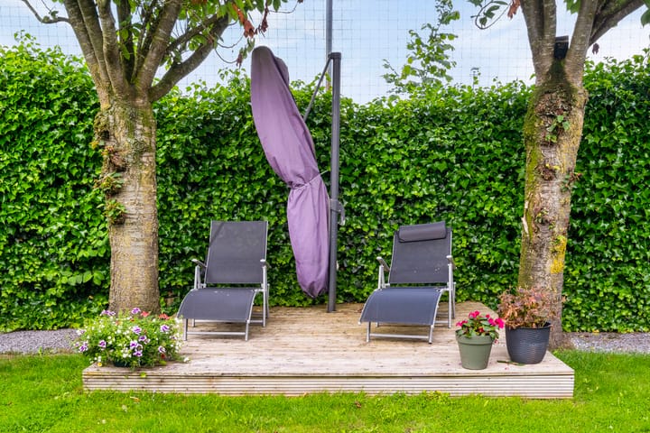 Foto 47 van Bijsterveld 8