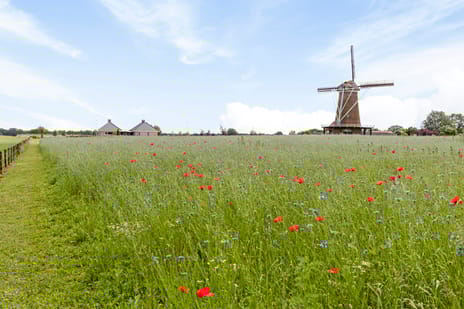 Diepenheimseweg 25-a secondary image