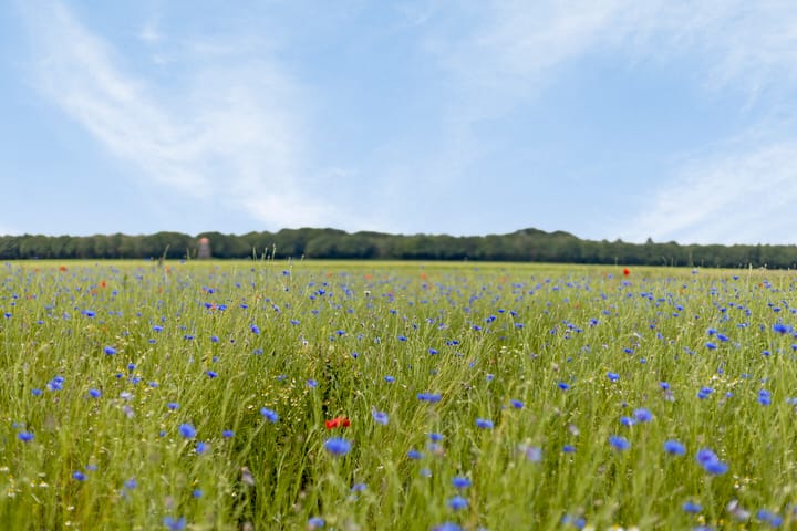 Foto 29 van Diepenheimseweg 25-A