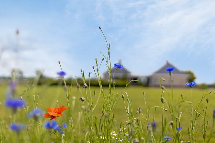 Foto 28 van Diepenheimseweg 25-A