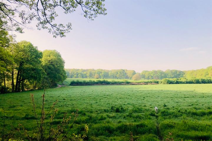 Bekijk foto 61 van Seytweg 80