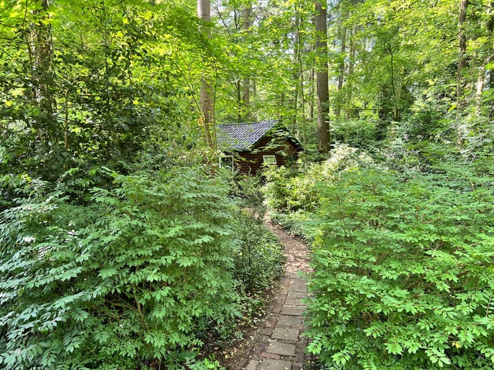 Foto 48 van Bosweg 1-C