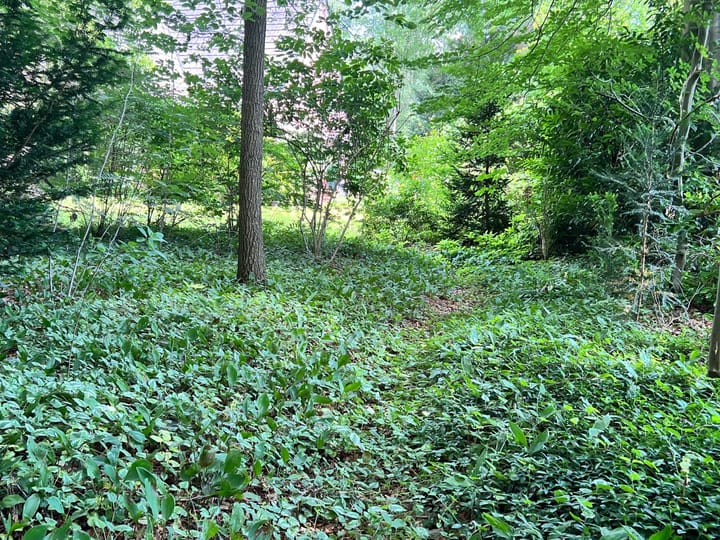 Foto 54 van Bosweg 1-C