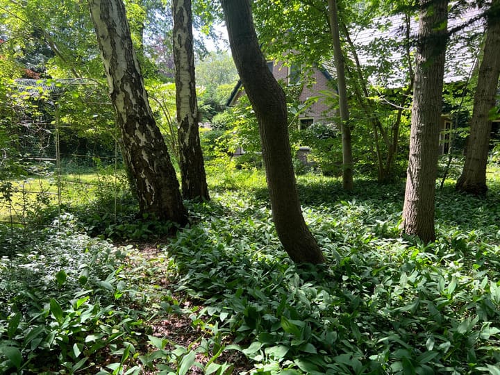 Foto 55 van Bosweg 1-C