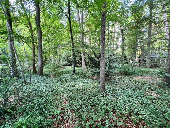 Foto 57 van Bosweg 1-C