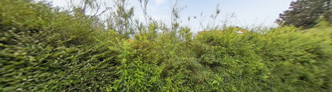 Bekijk 360° foto van Tuin-terras van Jan van Gent 6