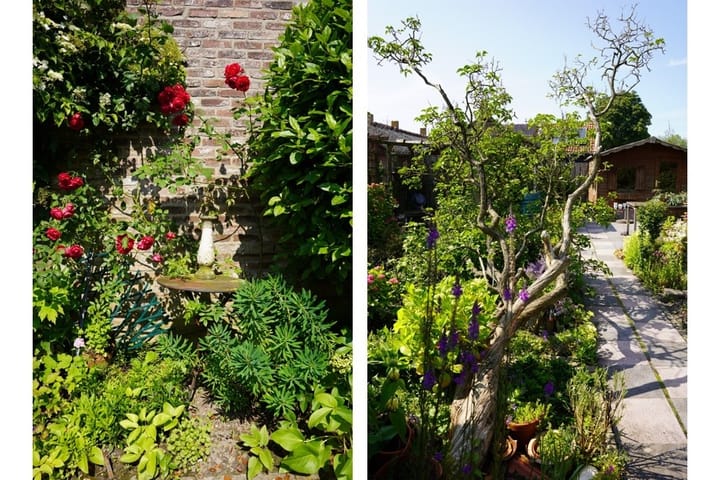 Foto 35 van Lange Heerenstraat 37