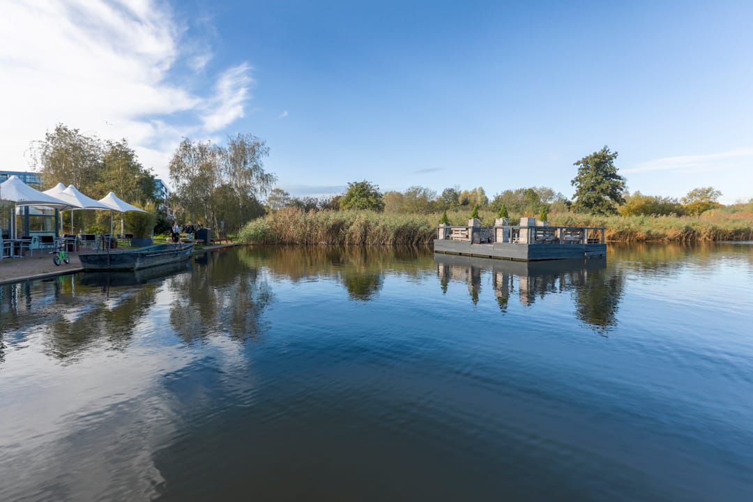 Photo 38 of Zandhofsestraat 42