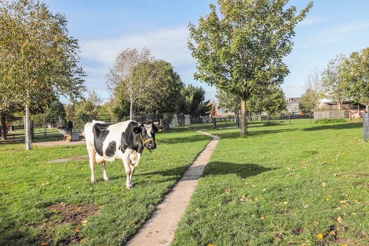 Foto 40 van Zandhofsestraat 42