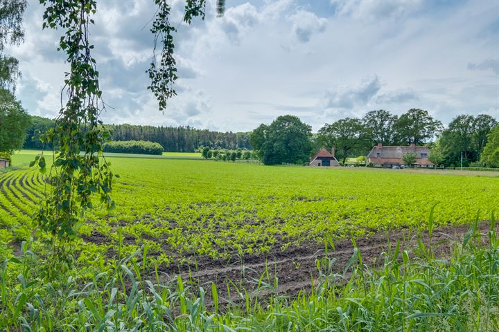 Bekijk foto 47 van Zwiepseweg 143-A