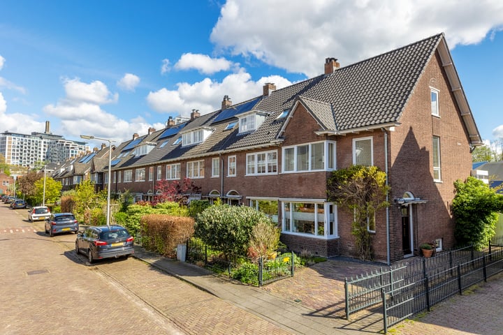 Bekijk foto 46 van Hoornestraat 33