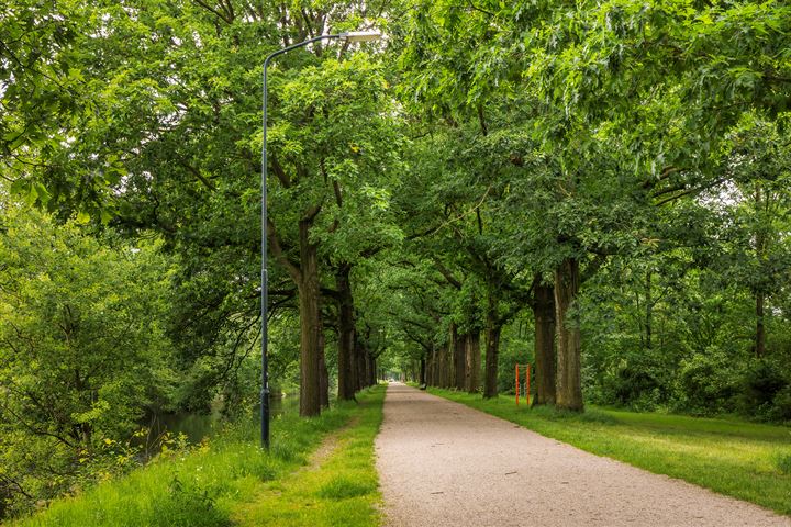 Bekijk foto 39 van Rietdekkersdreef 907