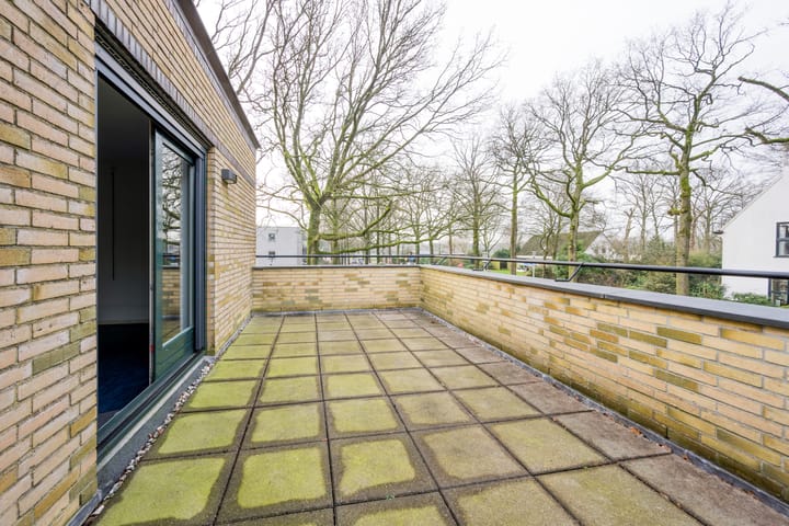 Foto 40 van Schothorsterlaan 1