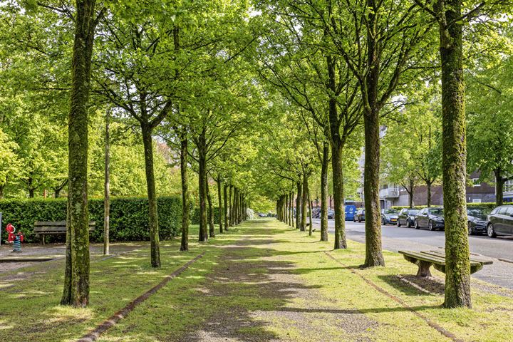 Bekijk foto 28 van Amsterdamseweg 88