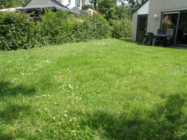 Foto 19 van Oude Antwerpsepostbaan 81-A50