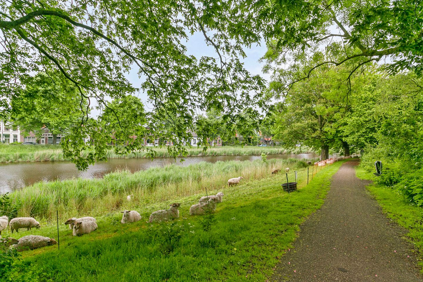 Photo 34 of Kesteloostraat 3