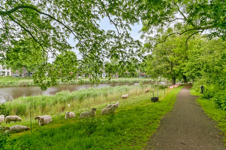 Foto 34 van Kesteloostraat 3