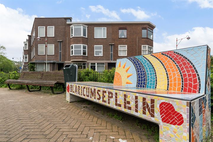 View photo 34 of Blaricumseplein 69