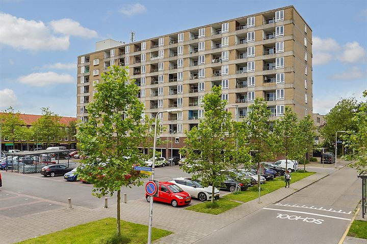 View photo of Rietzangerstraat 29