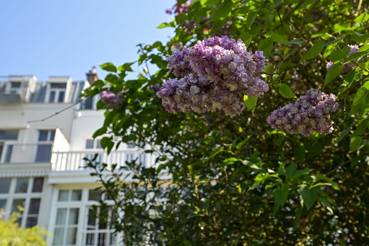 Foto 46 van Bankastraat 108