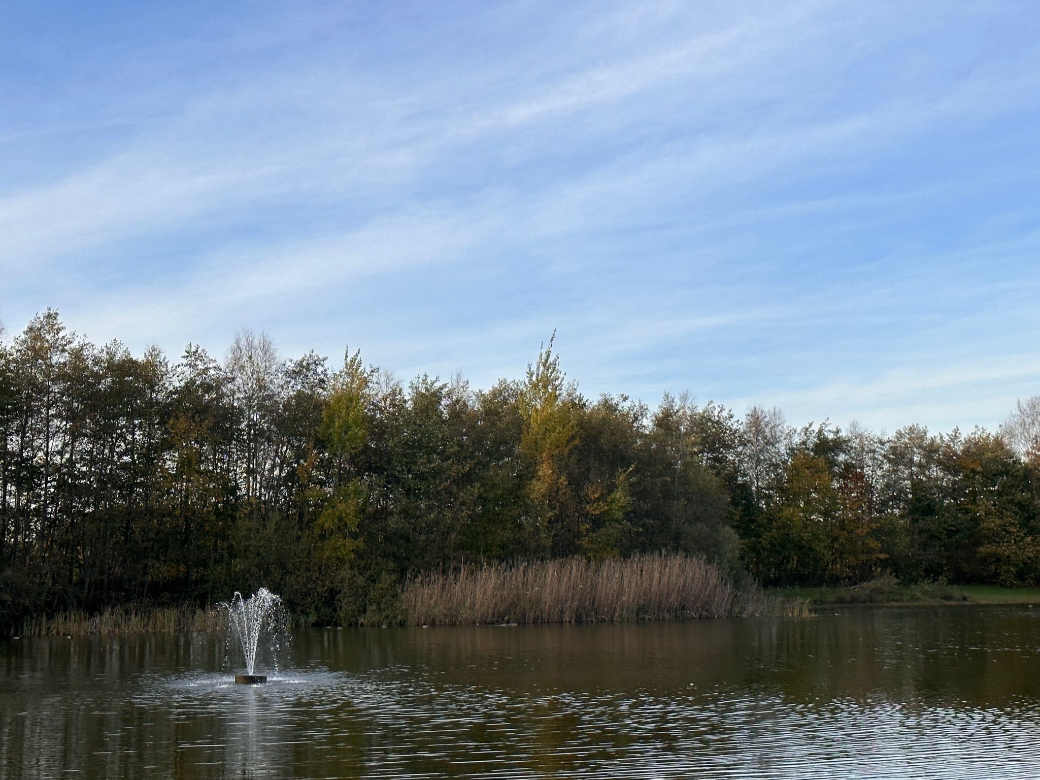 Foto 30 van Hunerwold State 19