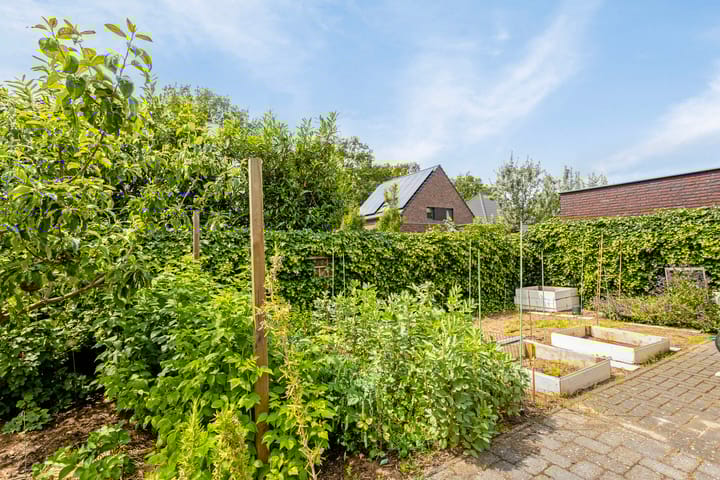 Foto 39 van Reutsdael 1