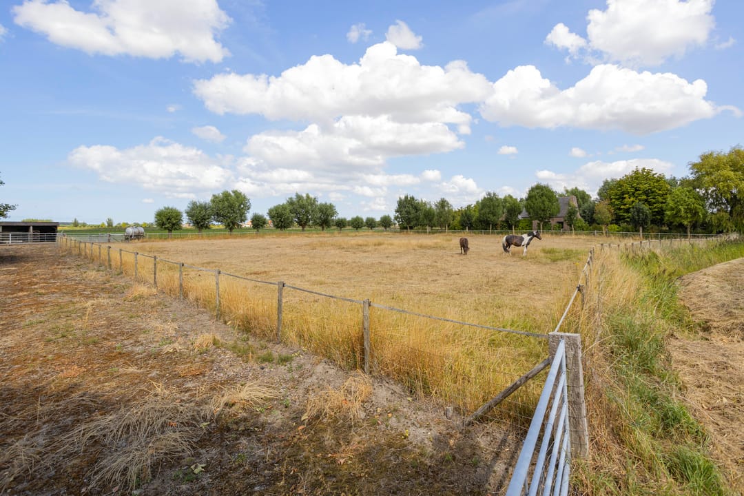 Foto 31 van Veerhoekpolderweg 6