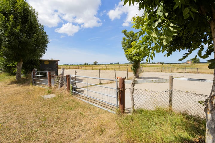 Foto 40 van Veerhoekpolderweg 6