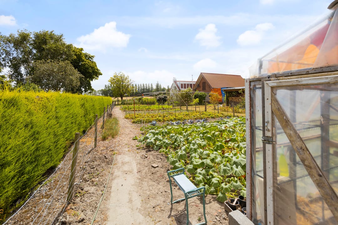 Foto 41 van Veerhoekpolderweg 6