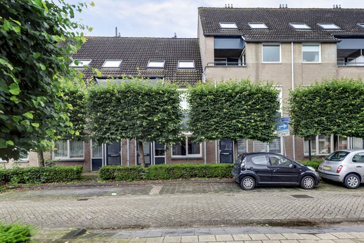 undefined main image