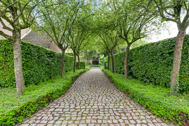 Foto 40 van Antoniusstraat 4