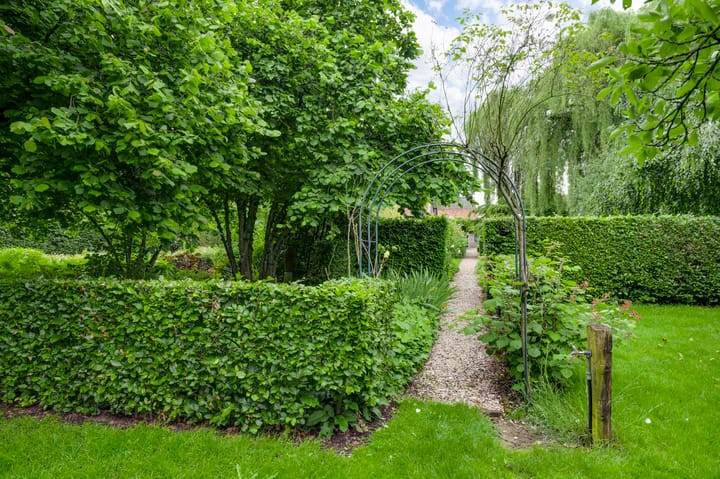 Foto 62 van Antoniusstraat 4