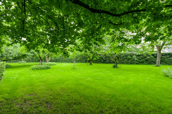 Foto 63 van Antoniusstraat 4