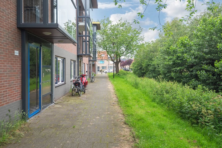 Bekijk foto 4 van van Borsselestraat 55