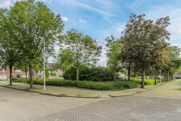 Bekijk foto 39 van Laagstraat 445