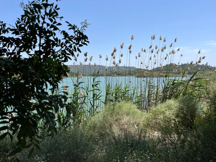 Foto 36 van Avenida Juan Ramón Jiménez 2