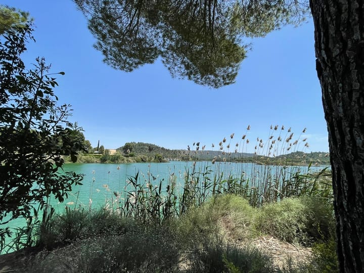 Foto 38 van Avenida Juan Ramón Jiménez 2