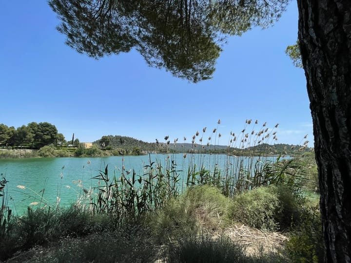 Foto 39 van Avenida Juan Ramón Jiménez 2