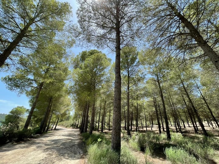 Foto 40 van Avenida Juan Ramón Jiménez 2