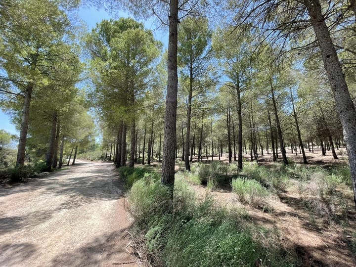 Foto 41 van Avenida Juan Ramón Jiménez 2