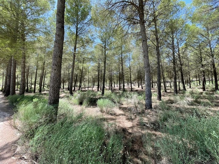 Foto 42 van Avenida Juan Ramón Jiménez 2