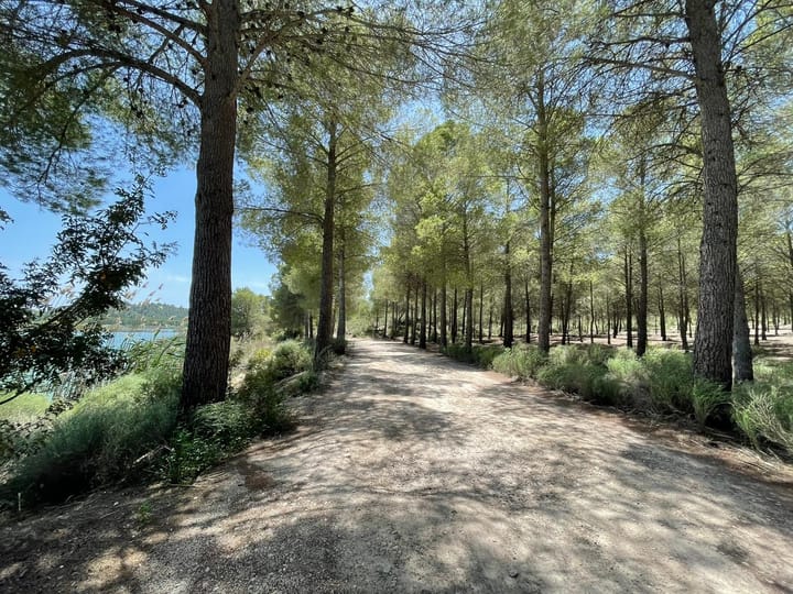 Foto 44 van Avenida Juan Ramón Jiménez 2