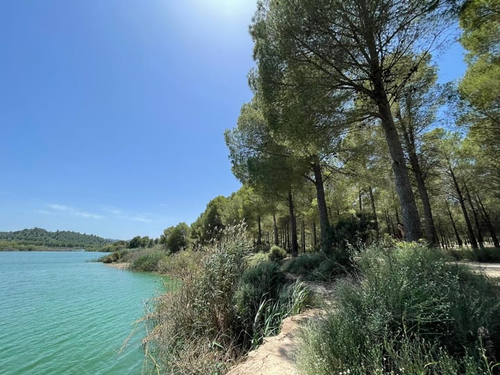 Foto 49 van Avenida Juan Ramón Jiménez 2