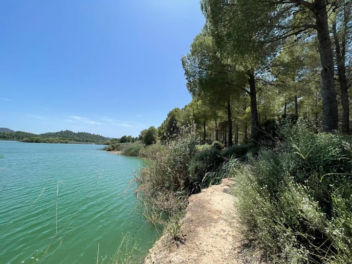 Foto 50 van Avenida Juan Ramón Jiménez 2