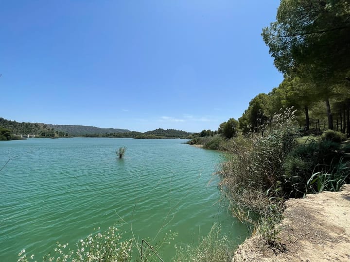 Foto 51 van Avenida Juan Ramón Jiménez 2