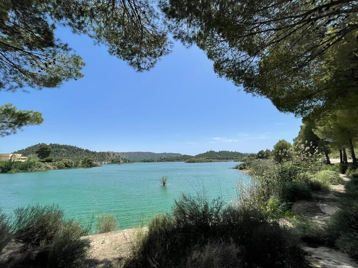 Foto 54 van Avenida Juan Ramón Jiménez 2